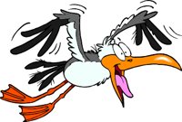 GULL2COL.WMF