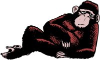 MONKEYD_.WMF
