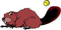 BEAVERW_.WMF