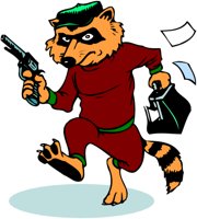 RACCOON_.WMF