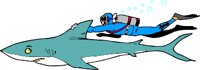 SHARK.WMF