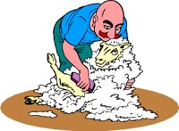 SHEARING.WMF