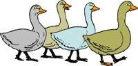 GEESE.WMF