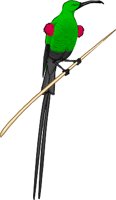 SUNBIRD.WMF