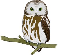 SAW-OWL.WMF