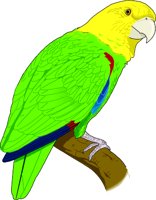 PARROT.WMF