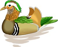 MANDARIN.WMF