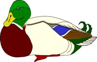 MALLARD.WMF