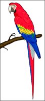 MACAW.WMF