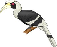 HORNBILL.WMF