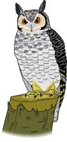 GREATOWL.WMF