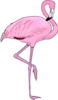 FLAMINGO.WMF