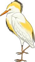 EGRET.WMF