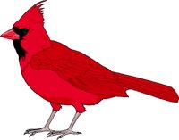 CARDINAL.WMF