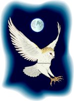 BARNOWL.WMF