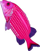 SQURFISH.WMF