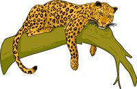 LEOPARD.WMF