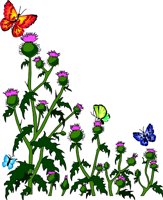 THISTLE.WMF