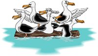 GULLS.WMF