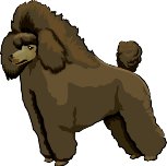 TOYPOODL.WMF