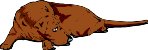 SLEEPDOG.WMF
