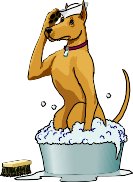 SALTYDOG.WMF