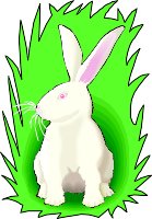 RABBIT.WMF