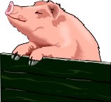 PIG_2.WMF