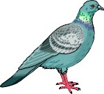 PIGEON.WMF