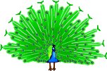 PEACOCK2.WMF