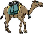 PCAMEL.WMF