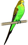 PARAKEET.WMF