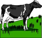 MILKCOW.WMF