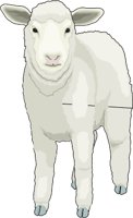 LAMB.WMF