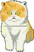 KITTEN.WMF