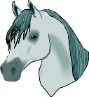 HRSEHEAD.WMF