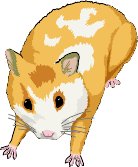 HAMSTER.WMF