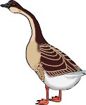 GOOSE.WMF