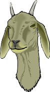 GOATFACE.WMF