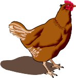 CHICKEN.WMF