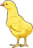 CHICK.WMF