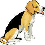 BEAGLE.WMF