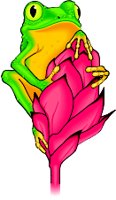 FROGFLOW.WMF