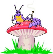CATERPIL.WMF