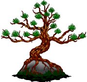 BONSAI.WMF