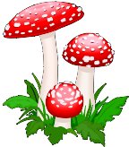AMANITA.WMF