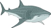 WHALESH.WMF
