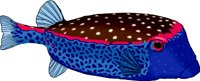 TRUNK.WMF