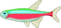 TETRA.WMF