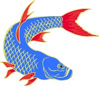 TARPONO.WMF